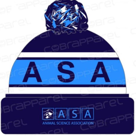 Beanie (one size fits most)